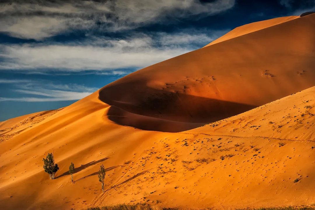 秋天去额济纳旅游感受,10月底额济纳旗旅游推荐