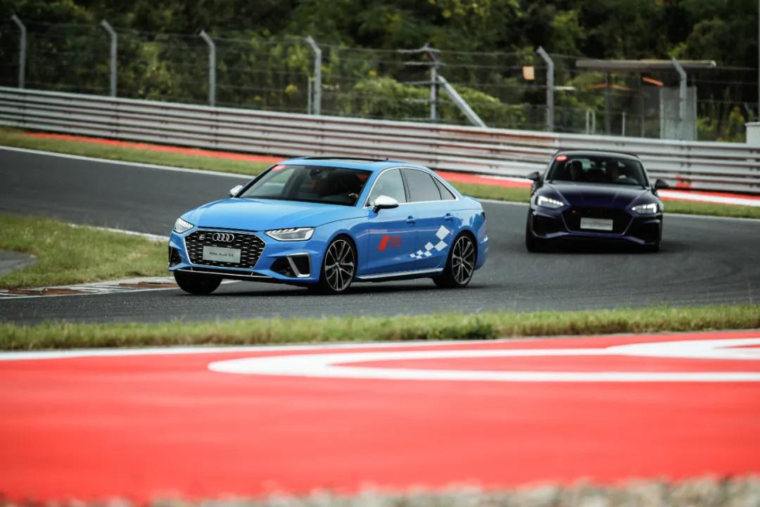 这才是真正的人生赢家,这才是真正的人参枸杞茶