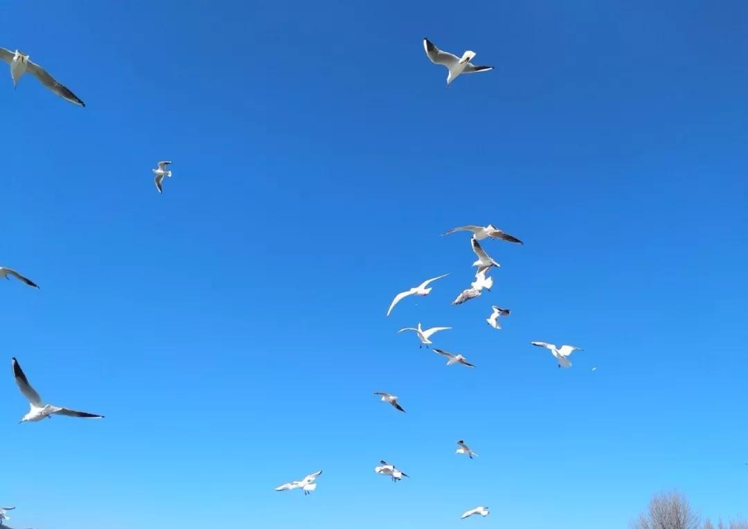 云南旅游热点排名前十,云南旅游繁忙之都