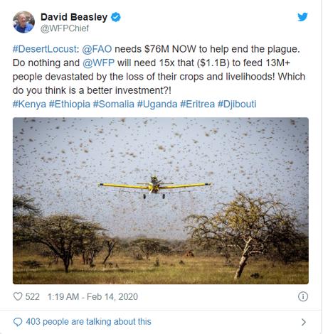 这次的蝗虫灾害为什么这么大,此次的蝗灾有多严重