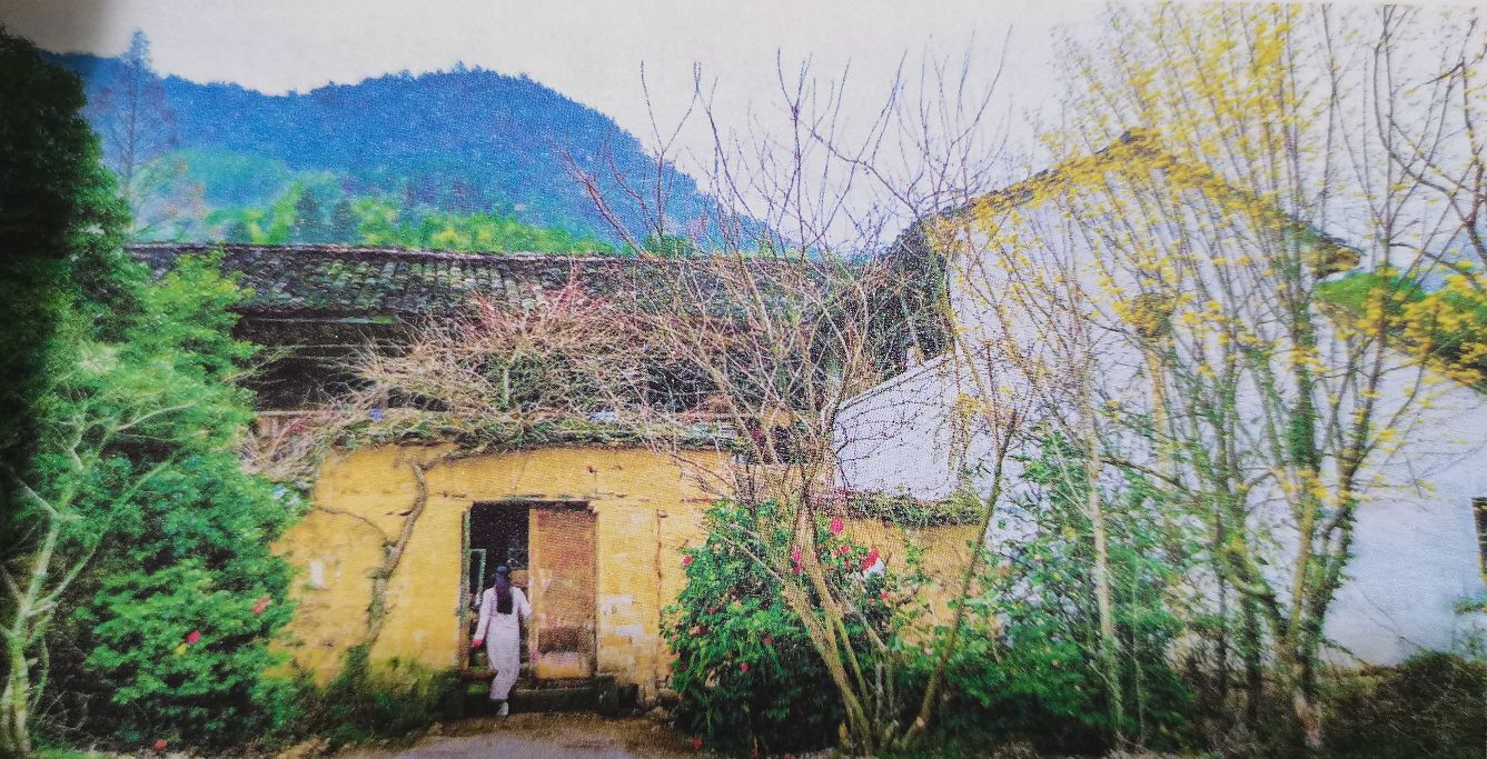 多年媳妇不用熬成婆