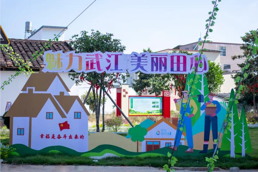 楹﹀厓鎽勫奖,楹﹀厓瑙嗛