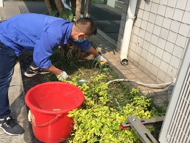 怎么预防老鼠啃家里的红薯,家里怎样预防老鼠