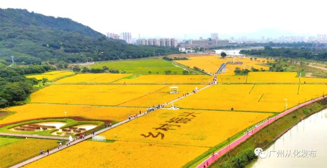 全国群众登山健身大会广州,2022全国登高健身大会