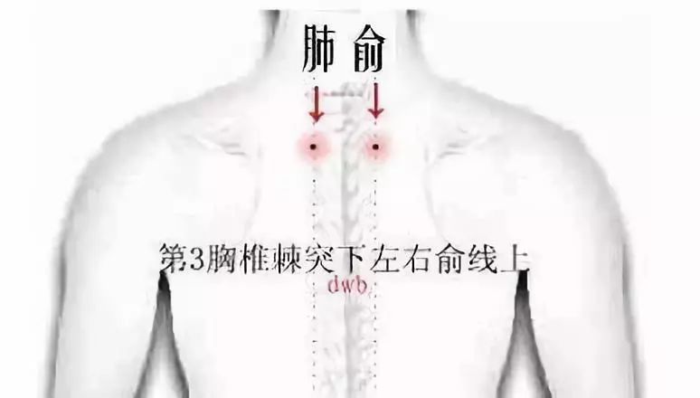 人一生中哪个穴位按摩对人身体好,人一生经络穴位