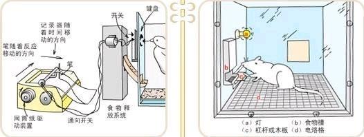 网购成瘾的十大征兆,网购上瘾真的是种病吗