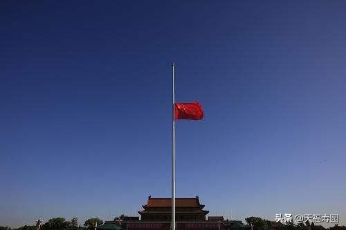 向逝者致哀的诗句,向逝者致哀完整版