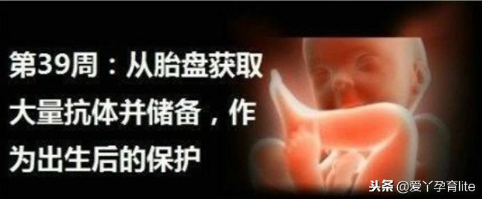 37周到40周做些什么产检,孕期产检知识大全