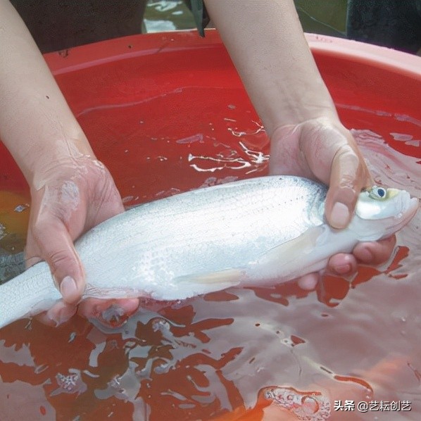 全国农产品地理标志分布地图,全国地理标志农产品