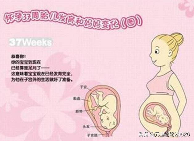 孕36周宝宝发育妈妈变化注意事项,孕妇37周吃什么对胎儿发育好