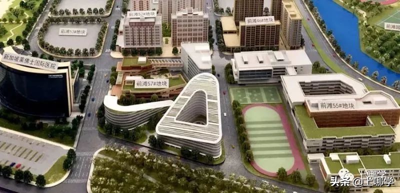 上海零志愿小学,上海56所民办学校