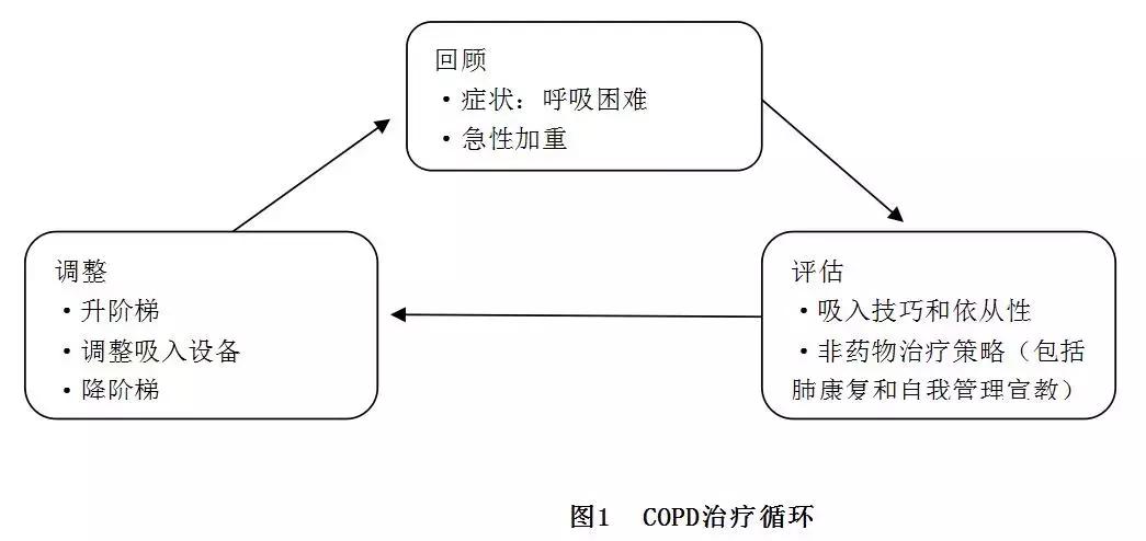 慢性阻塞性肺病gold分级,gold2023慢阻肺指南ppt