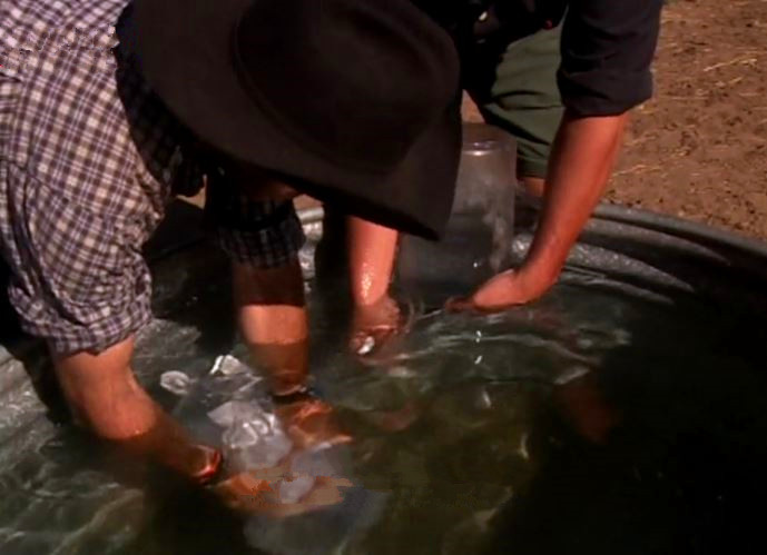 男性和女性排便差异,男性排屁量