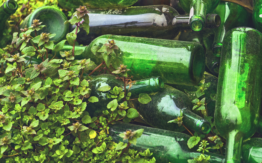 预防农田害虫发生的方法,农田防鸟出绝招