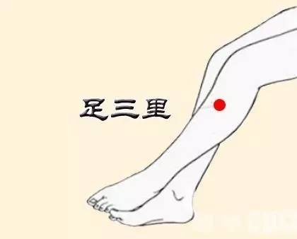 低血压感觉头晕怎么办,低血压头晕乏力西医用什么药