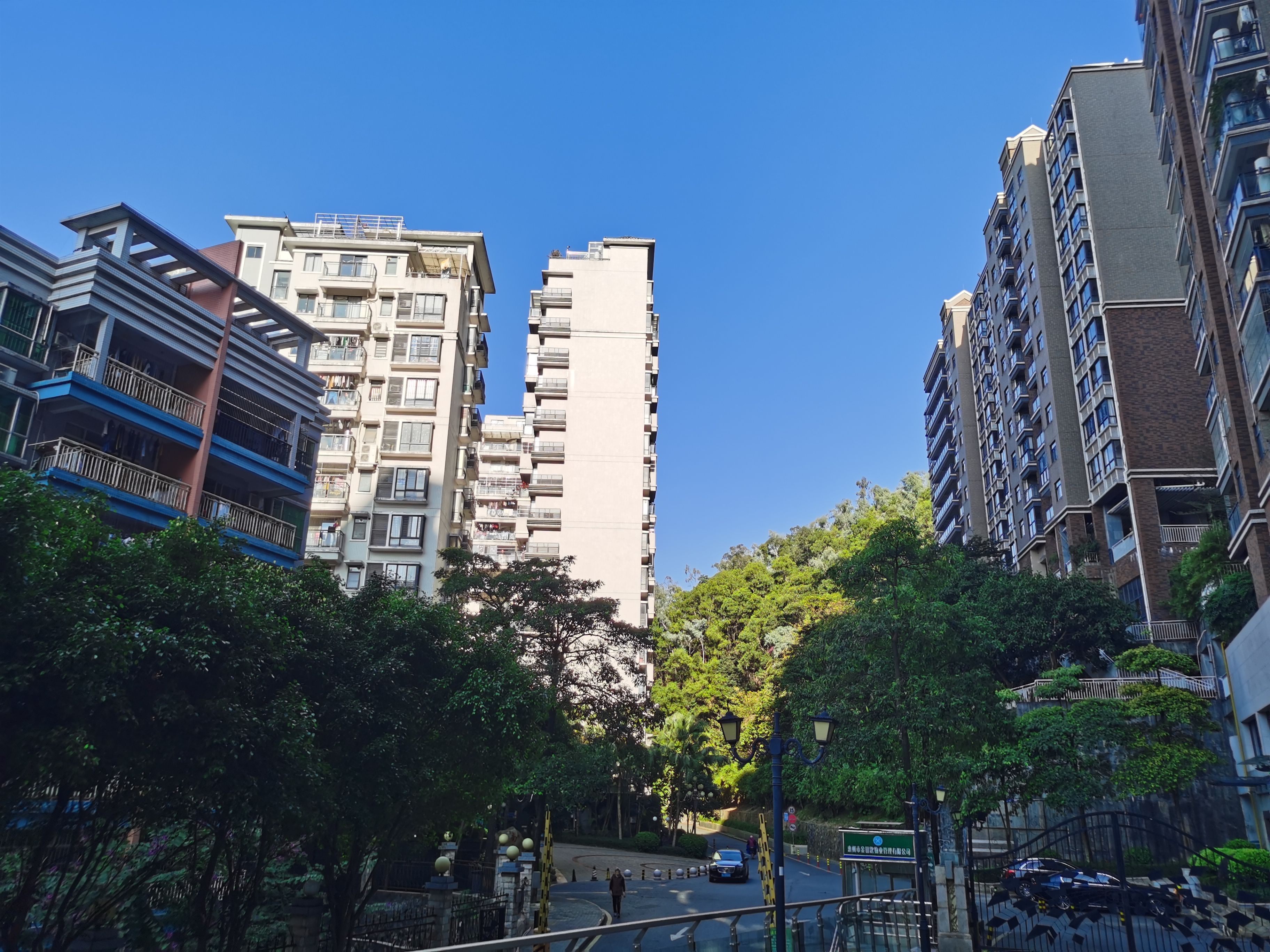 华为nova65g版和荣耀v30区别,华为nova65g版对比荣耀v30pro