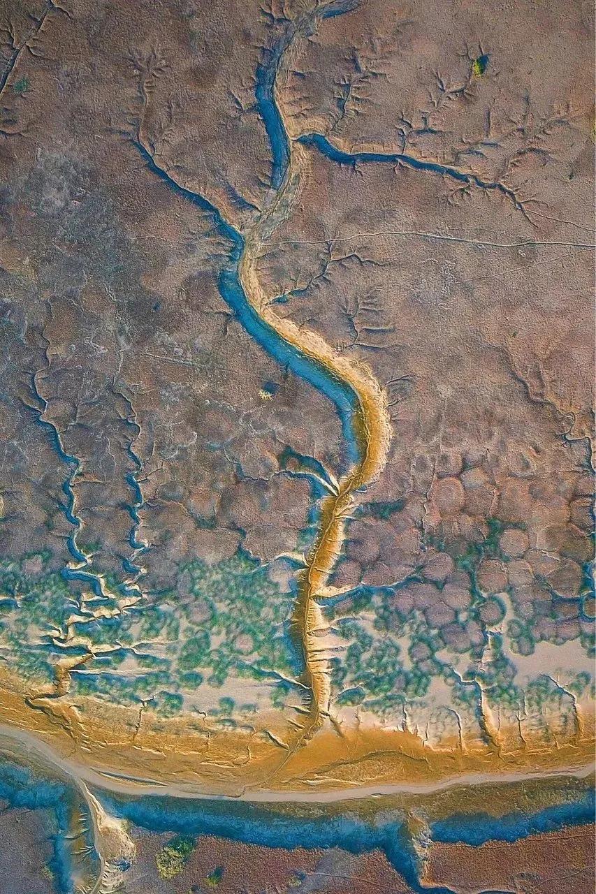 书藏古今港通天下,书藏古今港通天下央视