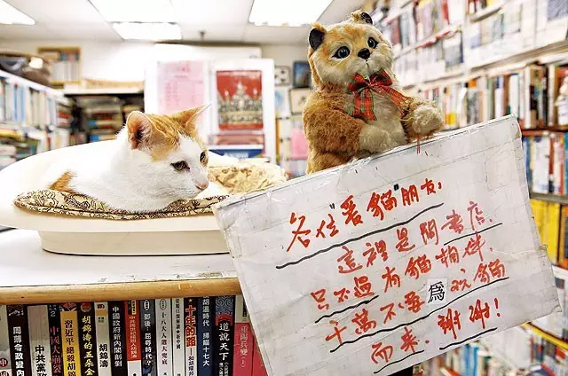 只去书店但不看书的意义,只有不读书干什么都是快乐的