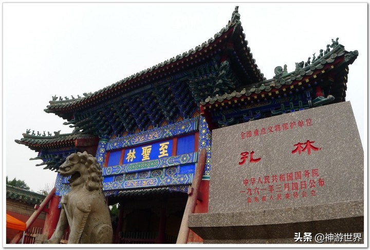 曲阜孔林游记,曲阜孔林