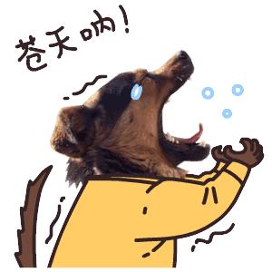 生完宝宝全身痛怎么办,生完宝宝后关节痛怎么补救