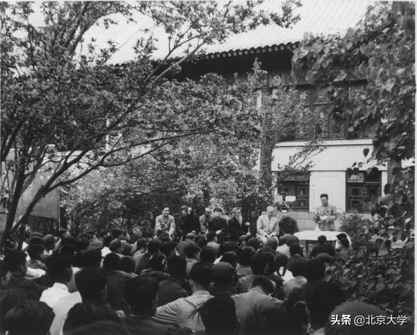 为什么要博雅教育,博雅教学和博雅教育的区别