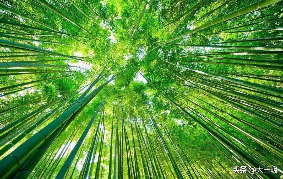 绿都最氧三明景区预约,绿都最氧三明旅游攻略