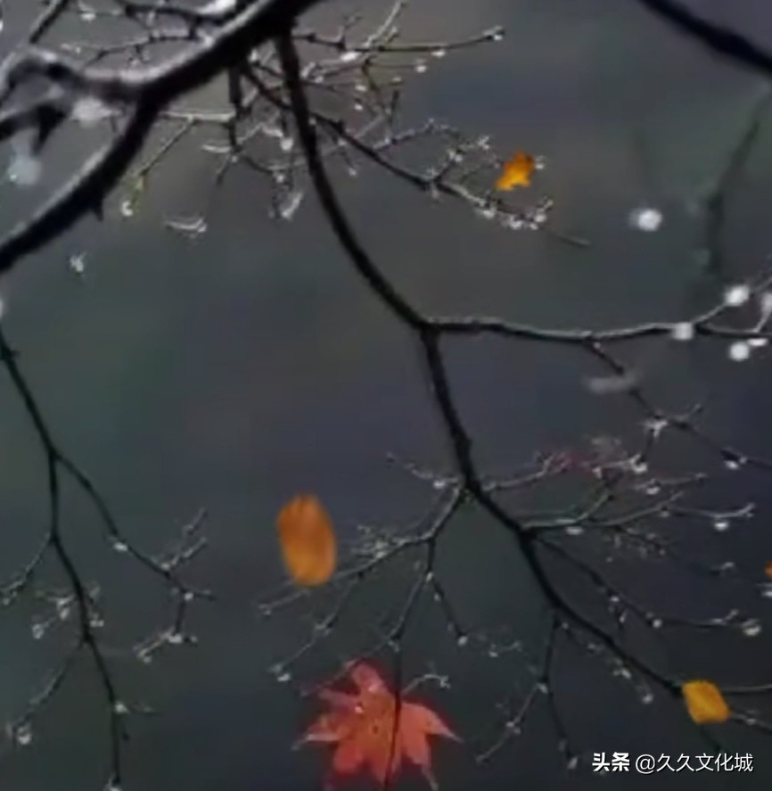 一山一水一幅画歌词,一山一水一世界一生一世一双人