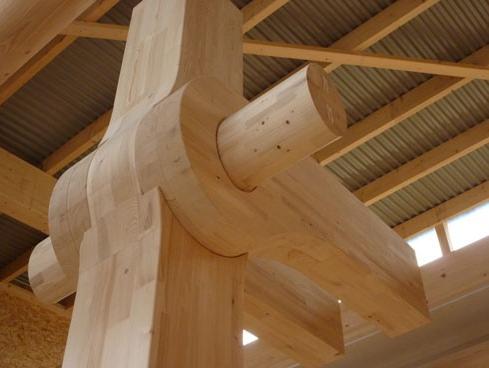 汉族的起源和演变,汉族的起源和历史