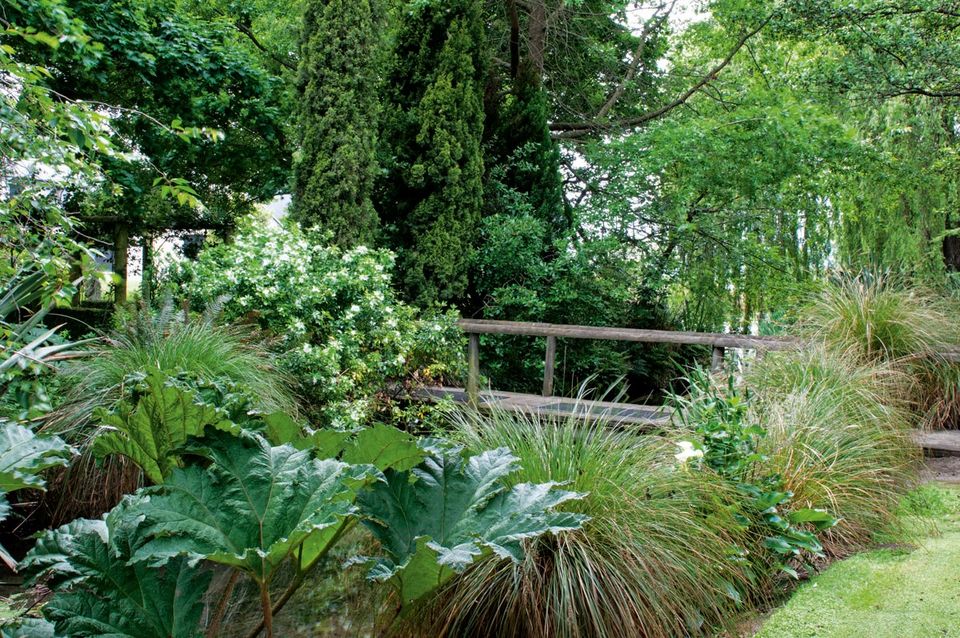 在新西兰奥克兰生活,在新西兰生活的优势