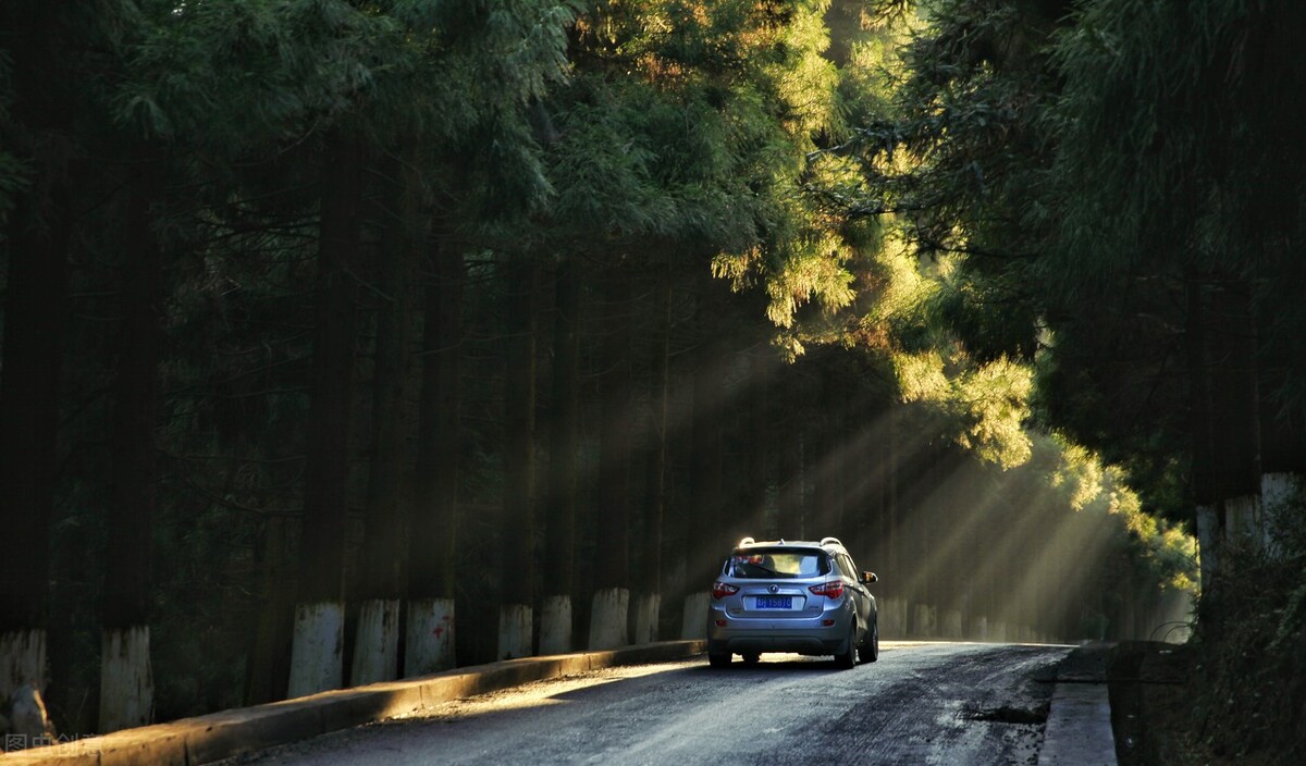 股市股民为什么亏钱,股市发展对股民启示
