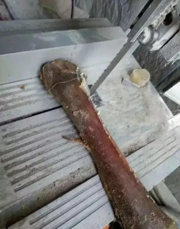 椹鎵嬩覆鍦嗙彔,椹鎵嬩覆