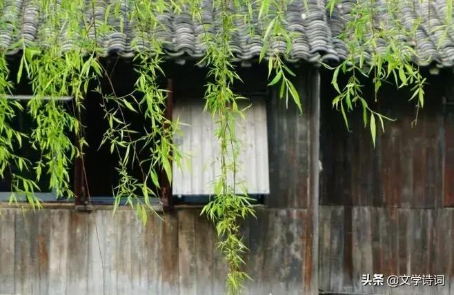 人民日报总结经常误用的成语,人民日报整理最常误用100个成语