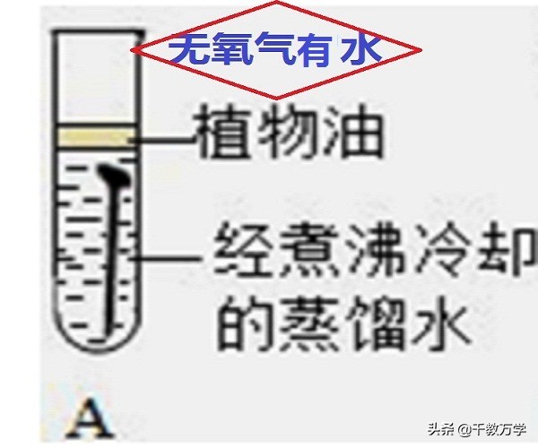 初中化学铁生锈知识点,九年级化学铁防锈原理