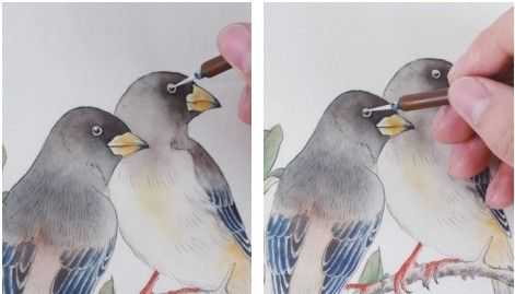 蜡嘴雀工笔画,蜡嘴鸟画画教程
