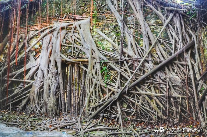 带上妈妈去旅行,带妈妈旅行去哪里合适