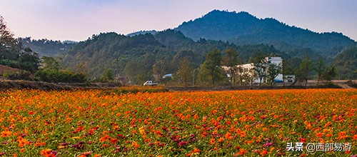 十一推荐这10个秋天最美的旅行地,推荐十一最好玩的地方