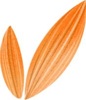 陕西浐灞区,陕西浐灞