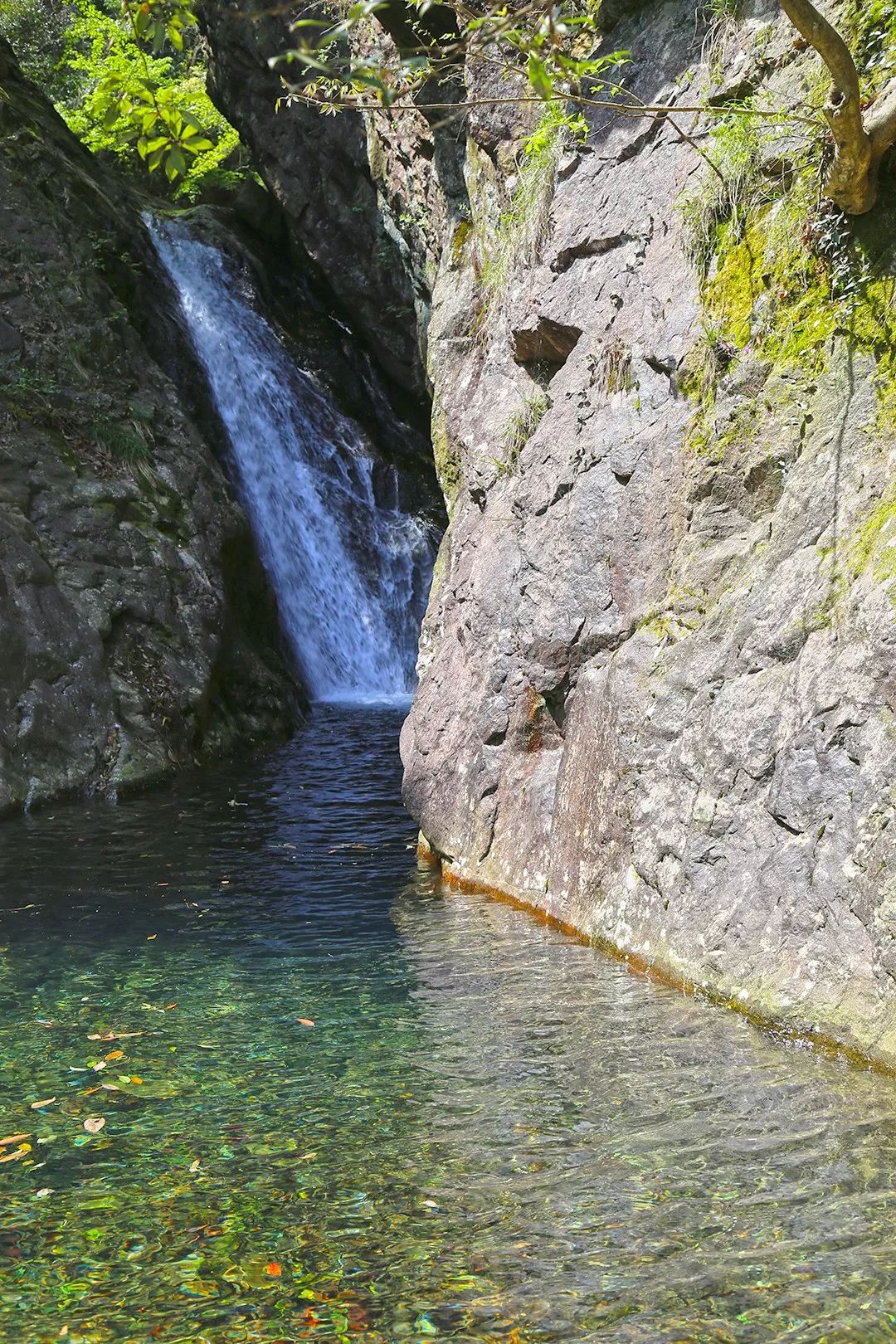 宁波避暑耍水胜地,宁波森林氧吧景区