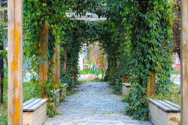 巴中市第四中学西华山春游,巴中高中春游