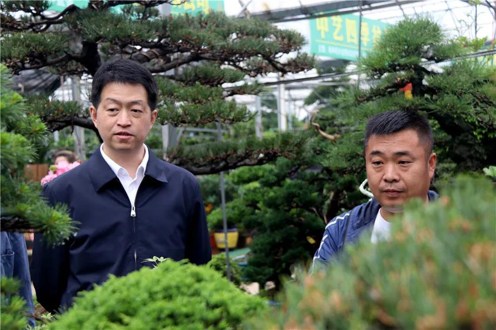 宿迁市沭阳县沭阳国际花木城,沭阳国际花木城布局