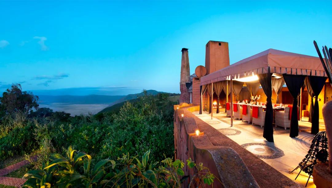 世间稀有的白色长颈鹿母子，在非洲被残忍猎杀，发现时只剩骨骼