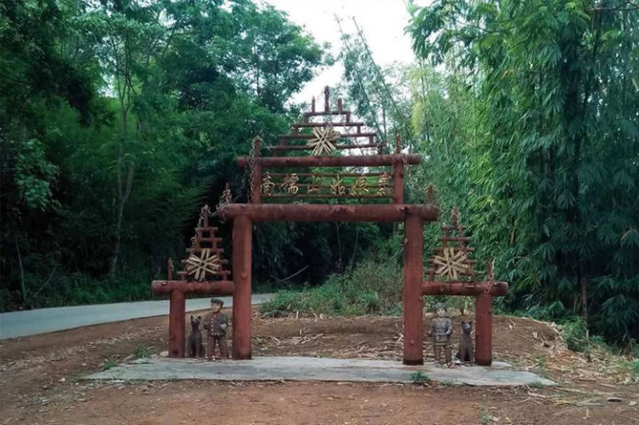 好茶分享南糯山熟普,南糯山的好茶