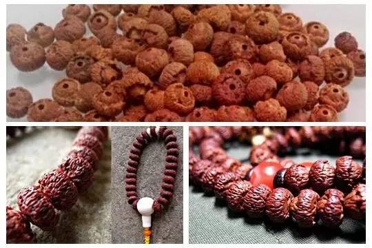 金叶莲花菩提怎么盘,滴血莲花菩提盘玩效果图