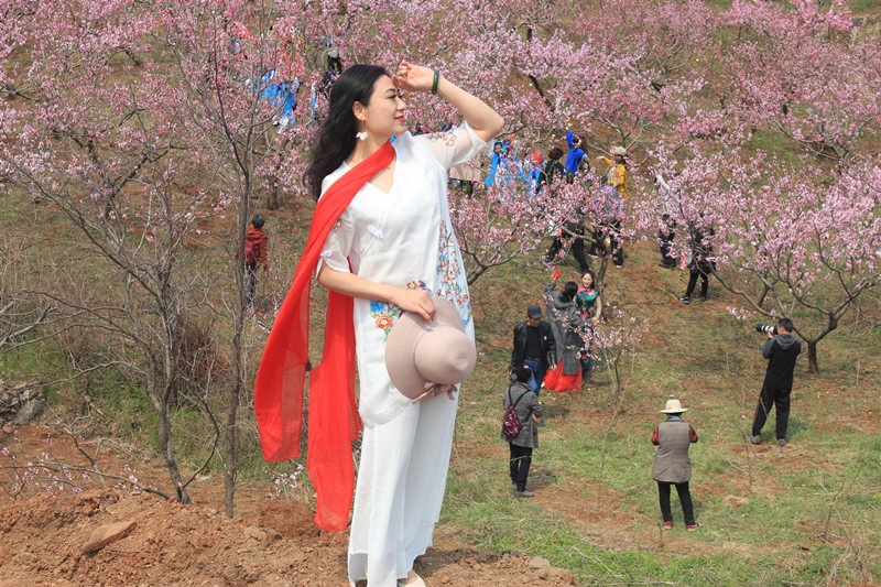 2024年峄城仙人洞桃花节时间,峄城仙人洞桃花节