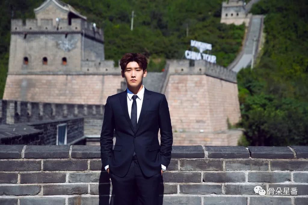 邢昭林是哪部电视剧里角色,邢昭林楚乔传扮演什么角色