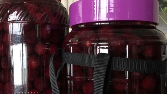 杨梅的清洗正确方法,杨梅正确清洗方法