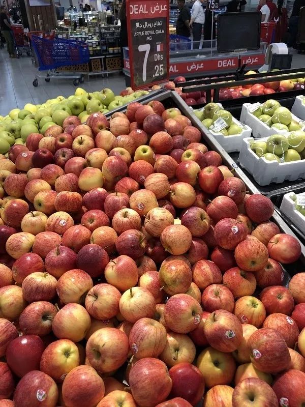 新加坡和迪拜生活成本,迪拜生活费用价目表