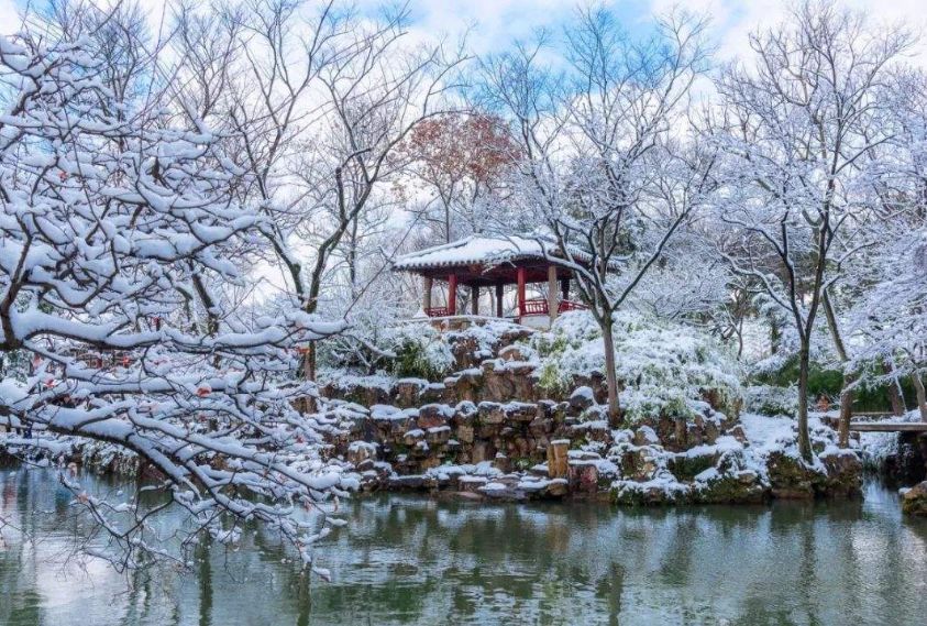 古诗词中柳树的寓意,古诗词里有冬天的诗句