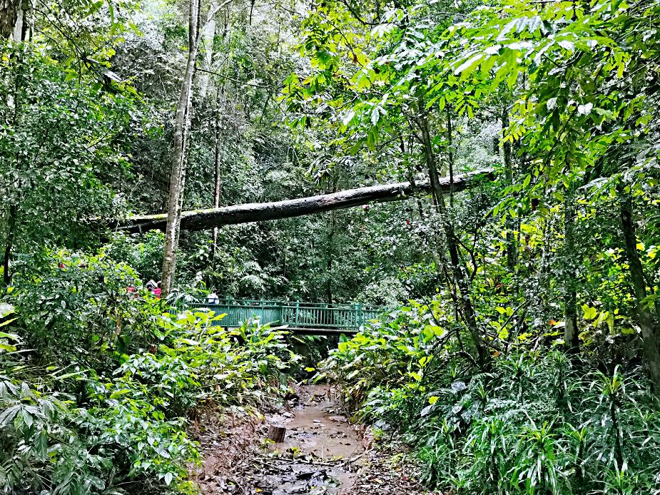 了解西双版纳的风俗和民族文化,西双版纳哈尼族特色民族文化