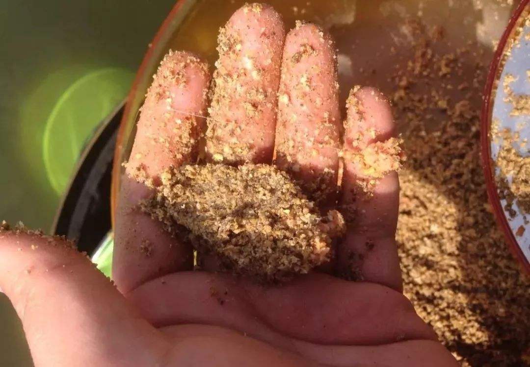 冬季野钓如何打窝能快速诱鱼,什么打窝方法诱鱼最快